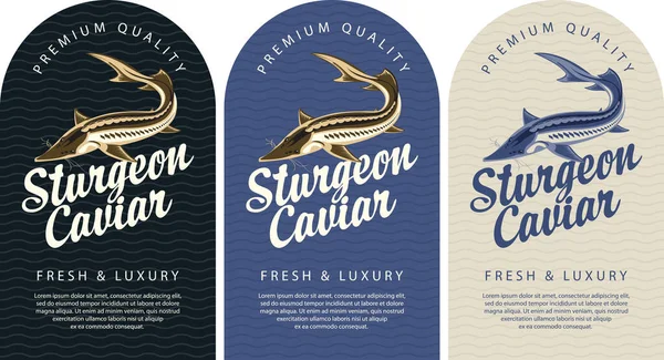 Ensemble Étiquettes Pour Caviar Esturgeon Noir Avec Poisson Esturgeon Inscription — Image vectorielle