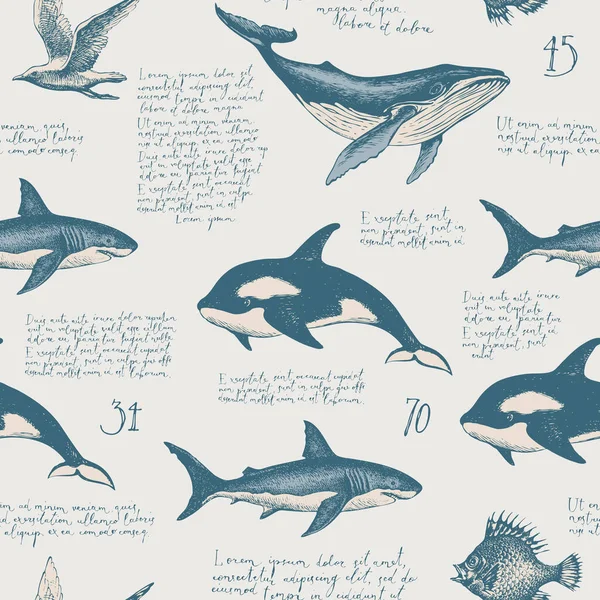 无缝隙图案 用手写拉汀文字 罗琳乳糖 手绘鱼和其他海岛居民 老式风格的矢量背景 适用于墙纸 包装纸 — 图库矢量图片