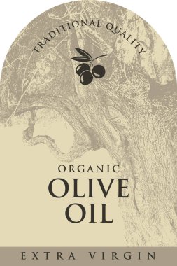 Zeytin ya da zeytin yağı etiketli, eski zeytin ağacı ve zeytinlerin eski usul vektör tasarımı. Logo, ambalaj tasarımı, çıkartma, afiş. Kullanılan yapay zeka yok