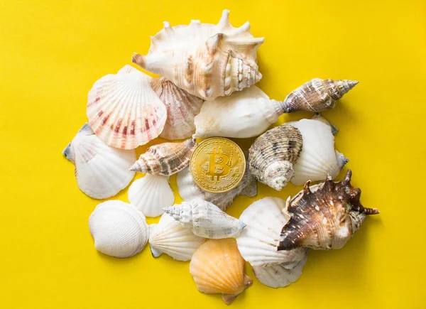 Bitcoins vacation on the beach with seashells — Stock Photo, Image