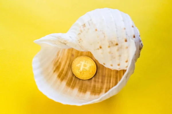 Bitcoins vacation on the beach with seashells — Stock Photo, Image