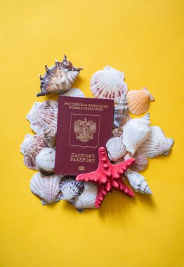 Sarı zemin üzerine differernt kabukları ile Rus pasaportu