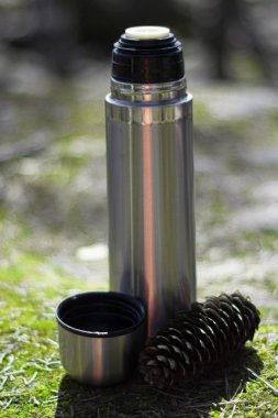 Termos, fincan ve Pinecone-yosunlu rock üzerinde piknik