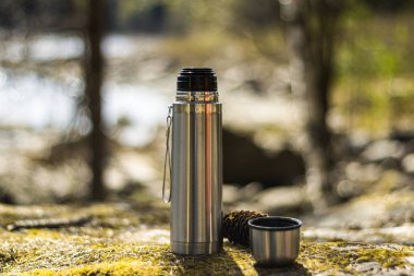 Termos, fincan ve Pinecone-yosunlu rock üzerinde piknik