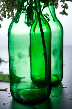 Çiçekli yeşil cam şişeler. Kuş kirazı ve açık yeşil yapraklar. Arka planda su damlaları var.