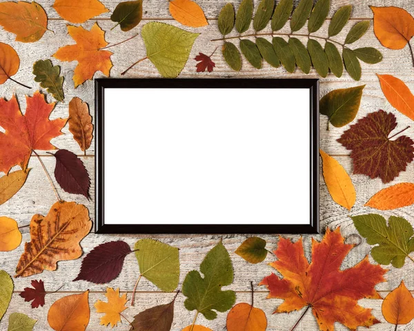 Autumn composition with leaves on a wooden background and photo frame with white empty space — Stock Photo, Image
