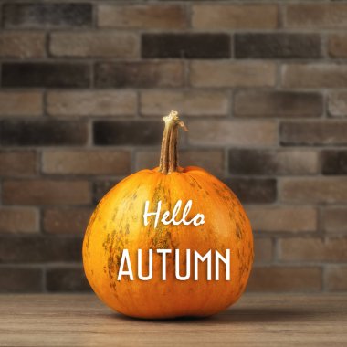 Olgun kabak yakın çekim ve Mutlu Cadılar Bayramı yazı ile Sonbahar arka plan. Kavram sonbahar veya Cadılar Bayramı arka plan