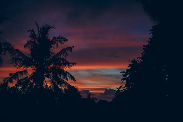 Coconut palm trees against beautiful tropical colorful orange sunset