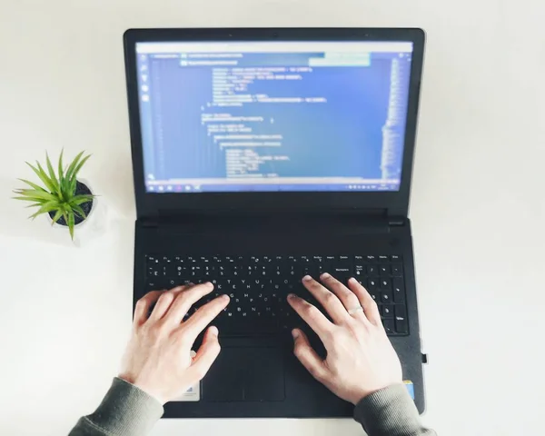 Evden çalışma. İş yerinde üzerinde saksı. Serbest çalışma. Genç adam programlama kodu.