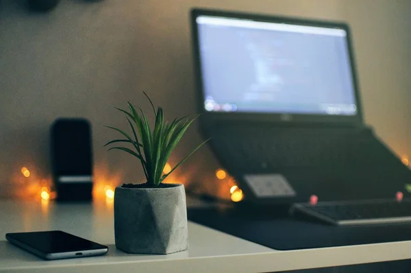 Hausaufgaben Abend Blumentopf Und Handy Arbeitsplatz Licht Auf Den Hintergrund — Stockfoto