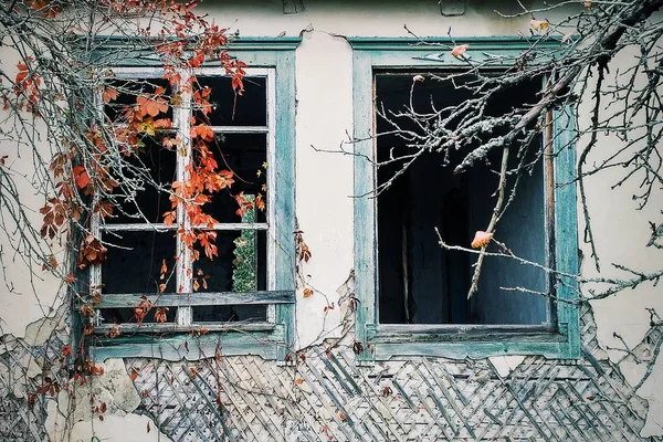 Покинутий будинок. Будинок без вікон. Дерево в будинку — стокове фото