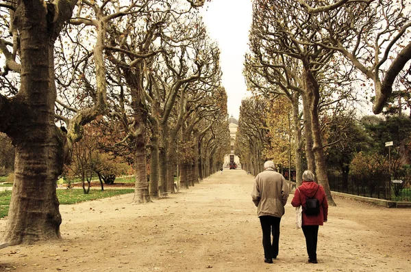 An elderly couple walking along the park in Paris, wondering on an alley between the high treesShot in a Paris park. A lovely pair of seniors walking and talking in a lovely fall atmosphere, sepia