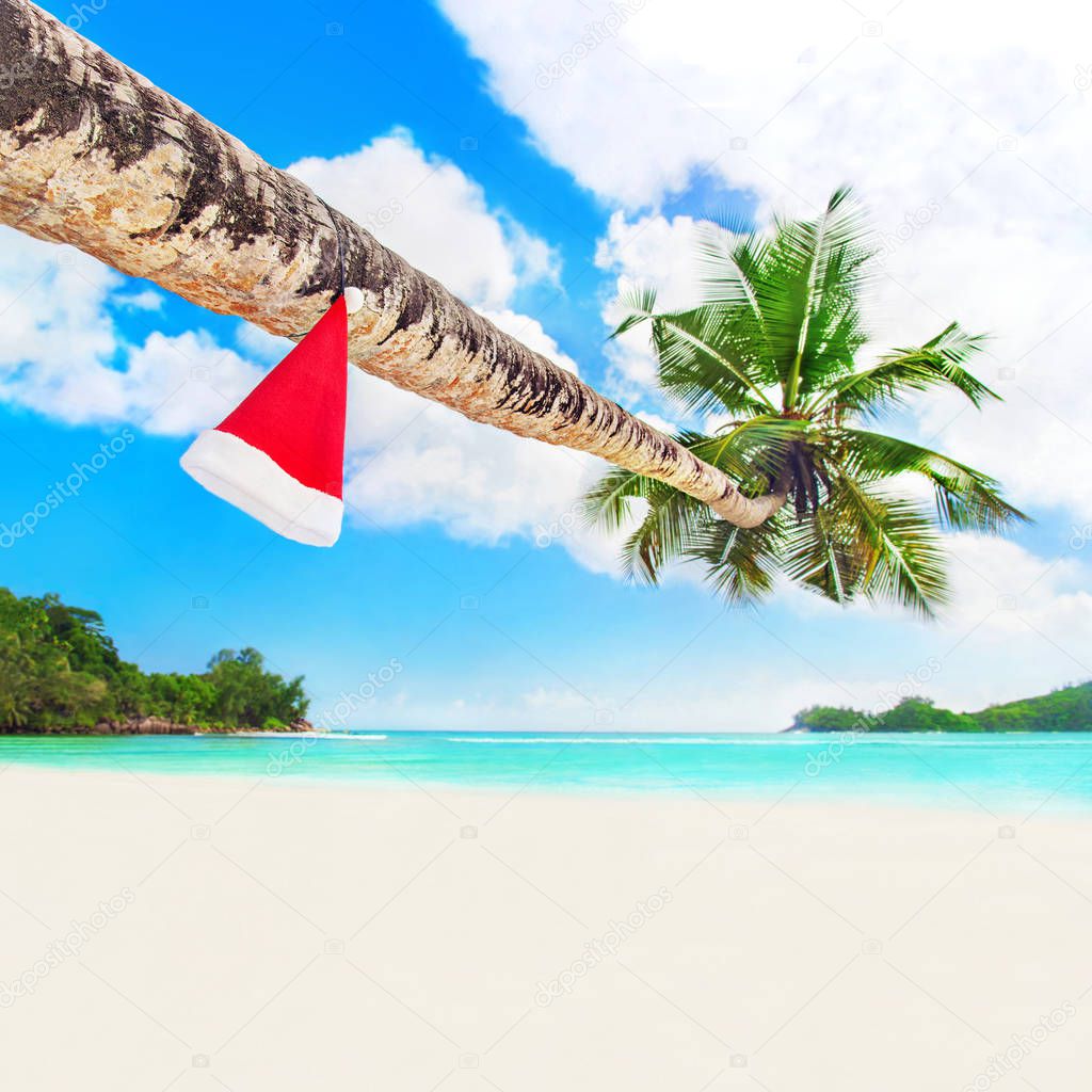 Red Santa hat on coconut palm tree at perfect tropical white sandy ocean beach. Holiday concept for New Years and Christmas Cards. Seychelles, Mahe island.