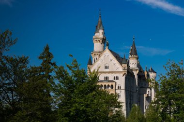 Neuschwanstein, Almanya. 29 Ağustos 2017. Çılgın Alman kralının ünlü kalesi her yıl binlerce turist tarafından ziyaret ediliyor. Disney 'e ilham geldi..