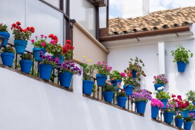 Cordoba, İspanya. 10 Mayıs 2018. Cordoba 'da hayat devam ediyor. Endülüs 'te tipik bir beyaz evde mavi saksılar.