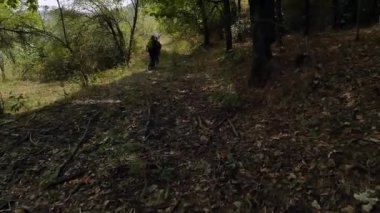 Turistler ağaçların gölgesinde bir orman yolu boyunca yürürler. Ağaçların kökleri, dallar yürümeyi engelliyor..