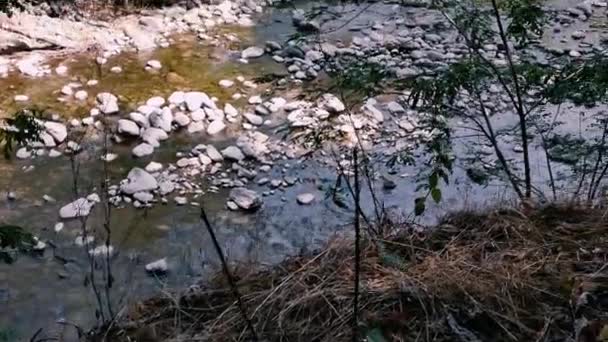 Ein Flacher Gebirgsfluss Der Gesamte Kanal Ist Mit Steinen Bedeckt — Stockvideo