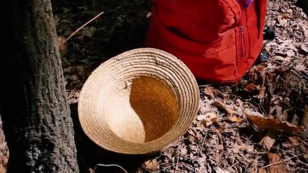 Chapéu Palha Uma Mochila Estão Perto Uma Árvore Folhagem Seca — Vídeo de Stock