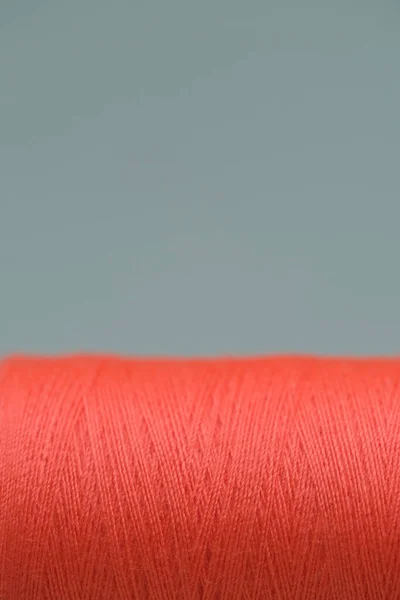 Katı bir mercan makarası, yakın plan, gri arka planda izole edilmiş. Renkli iplikler. Renkli Bobbin başlığı.