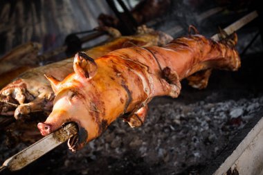 Genç domuz kavurma tükürük, domuz eti, et, gıda.