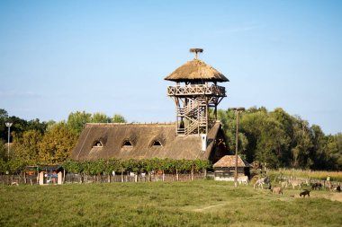 Zasavica, özel doğa rezerv Sırbistan'daki popüler gezi yeridir.