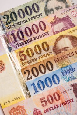 Hungarian forint banknotes clipart