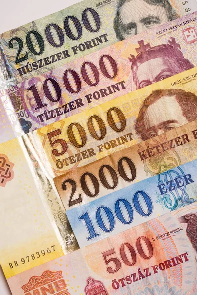 헝가리어 포린트 은행권 로열티 프리 스톡 이미지