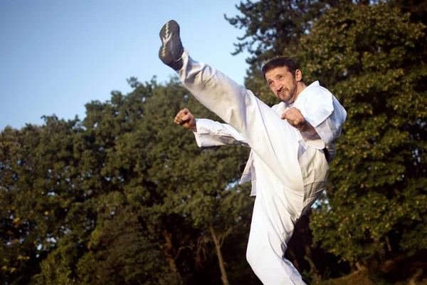 Karateist Beyaz Kimono Içinde Yüksek Tekme Açık Havada Doğada Dövüş — Stok fotoğraf