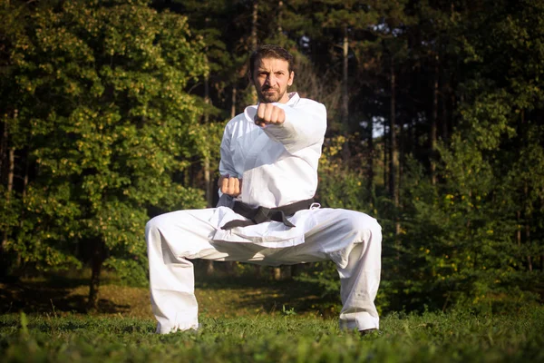 Karateist Kimono Branco Está Praticando Artes Marciais Floresta Natureza Fundo — Fotografia de Stock