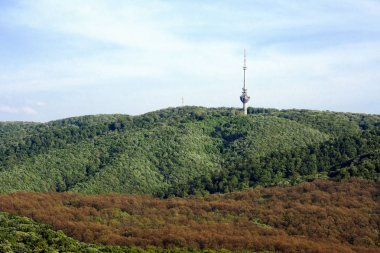Fruska gora Sırbistan manzara