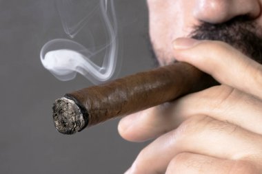 Sigara puro nikotin bağımlılığı