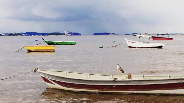 Alguns Pequenos Barcos Pesca Flutuando Baía Guanabara Brasil Durante Uma — Vídeo de Stock