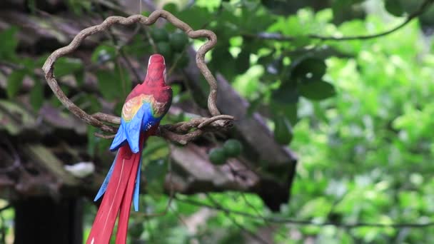 Daylight Wooden Toucan Bird South America Brazil Moving Wind Green — стоковое видео