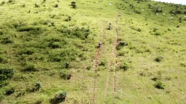 一个肮脏的自行车骑手试图上山 在绿色和充满自然的地方 在里约热内卢巴西 — 图库视频影像