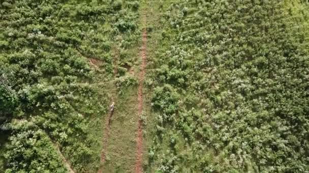 Drone Inclinación Hacia Arriba Ciclista Tierra Subiendo Una Montaña Grande Metraje De Stock