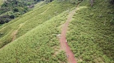 Brasil 4 k, Rio de Janeiro, bir hava açısından büyük bir iz üzerinde gidiş bir tek kir bisiklet binici