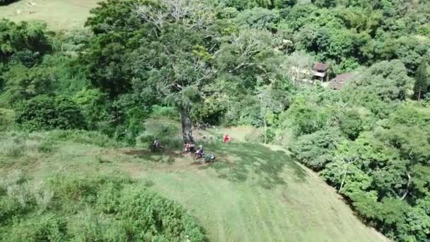 Middle Trail Some Riders Stop Rest Big Tree Aerial Image — Stock Video