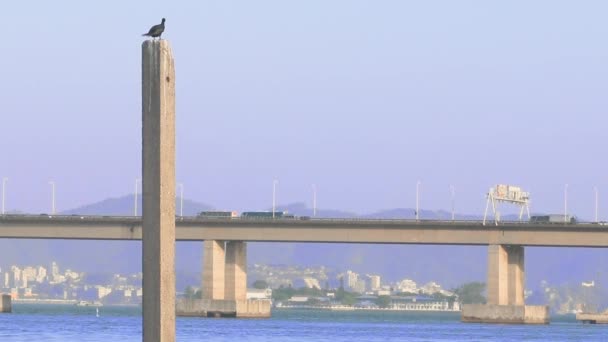 Pilar Hormigón Viejo Destruido Una Bahía Con Enorme Puente Fondo — Vídeos de Stock