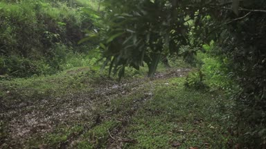 Çamur ve kir, Rio de Janeiro, Brezilya için bir sürü iz oluyor bir binici