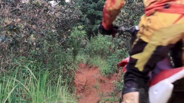一个家伙在一辆泥自行车上快速地在树之间 并深入到自然 在里约热内卢巴西 在夏季 — 图库视频影像