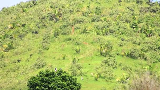在一座大山上 一个人试图爬上一条小路的远观 景色不错 在巴西里约热内卢 — 图库视频影像