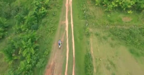 Vista Aérea Una Motocicleta Sendero Verde Natural Metraje De Stock Sin Royalties Gratis