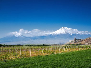 Tarım alanında dağlar yeşil bitkiler ve arka plan, Ermenistan üzerinde kale