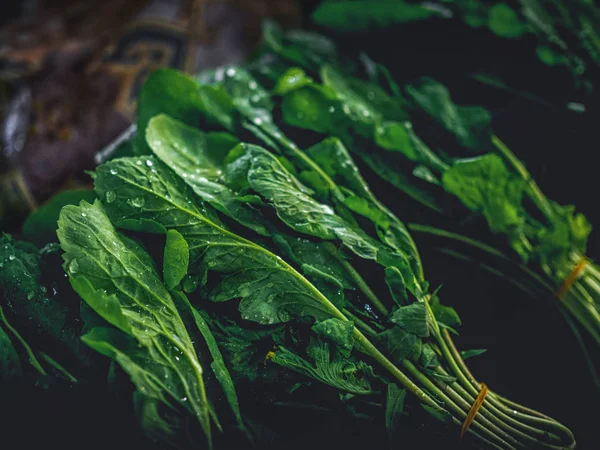 Veldzuring — Stockfoto