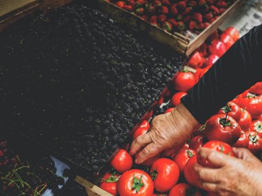 cropped image of senior woman choosing tomatoes at georgian market clipart