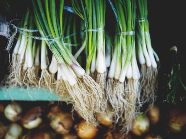 top view of ripe green onions at georgian market clipart