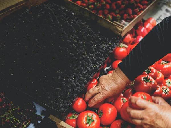 Περικομμένη Εικόνα Των Ανώτερων Γυναίκα Επιλέγοντας Ντομάτες Στο Γεωργιανό Αγορά — Φωτογραφία Αρχείου