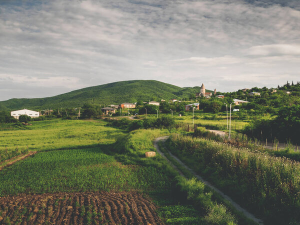 beautiful green fields, road and hills near village in georgia