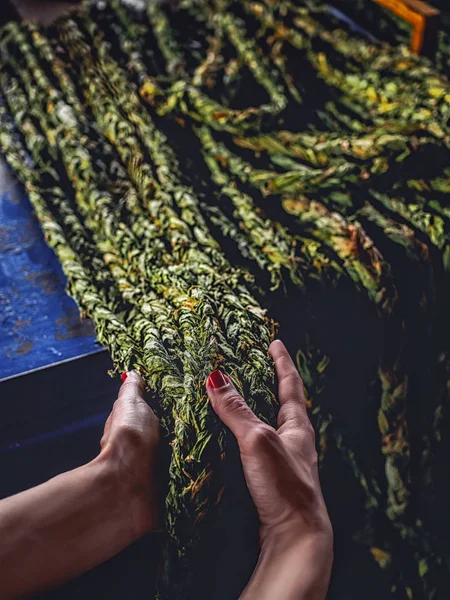 Cropped shot of woman holding braided aveluk selling on farmers market at armenia — Stock Photo