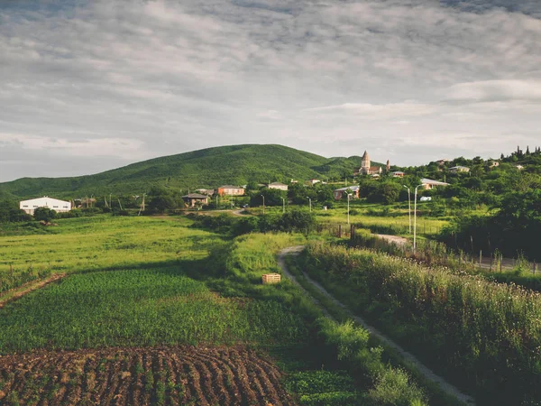 Beautiful green fields, road and hills near village in georgia — Stock Photo
